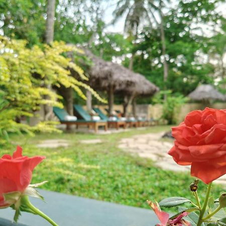 מאראריקולם Marari Beach Bungalow Resort Alleppey מראה חיצוני תמונה