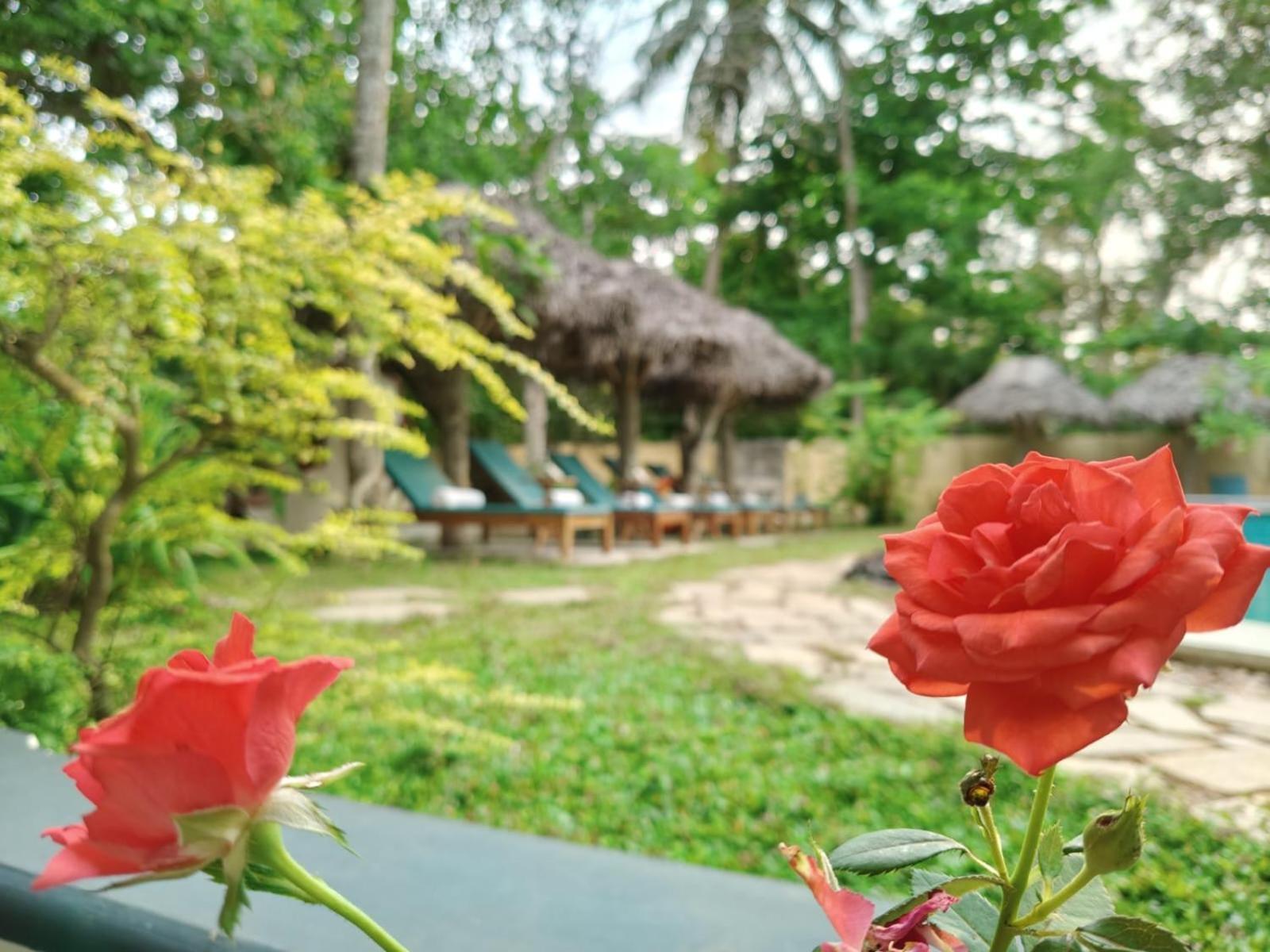 מאראריקולם Marari Beach Bungalow Resort Alleppey מראה חיצוני תמונה